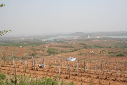 蓬莱基地型节水灌溉工程.jpg