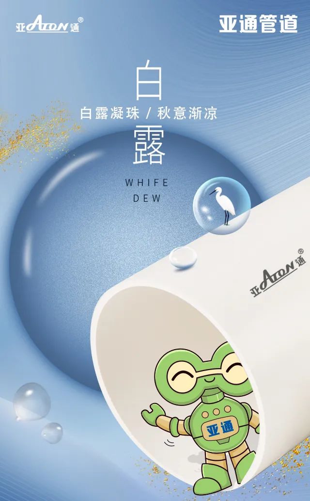 白露 | 白露凝珠，秋意渐凉