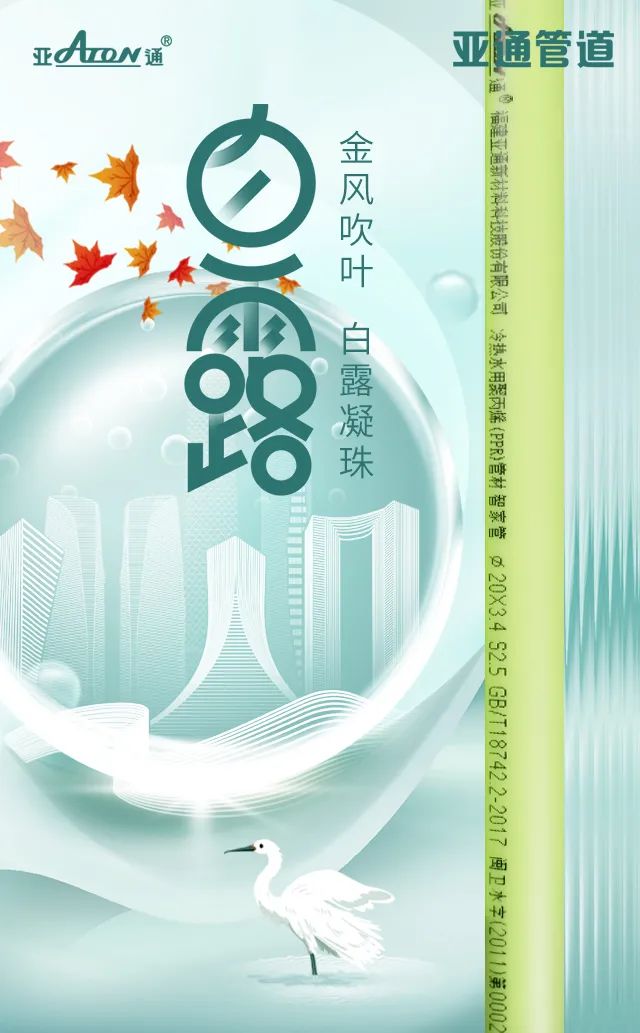 白露 | 金风吹叶，白露凝珠