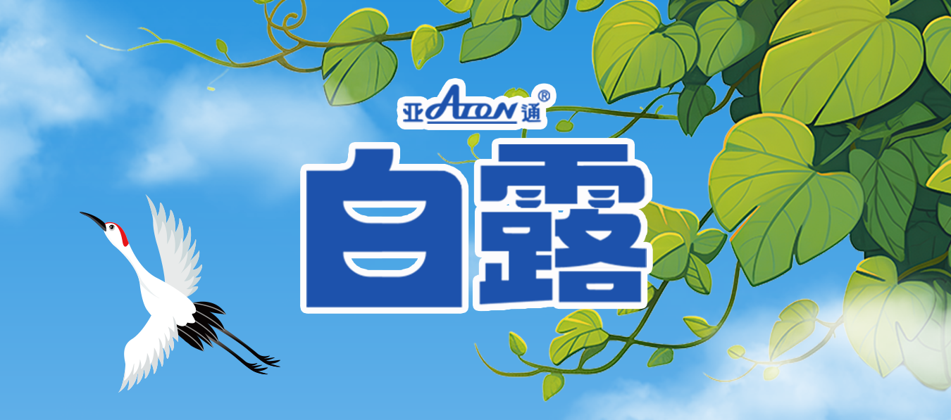 白露 | 日渐转凉，寒生凝露