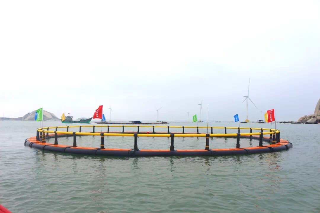 1598351363228455.jpg QQ图片20200825182410.jpg