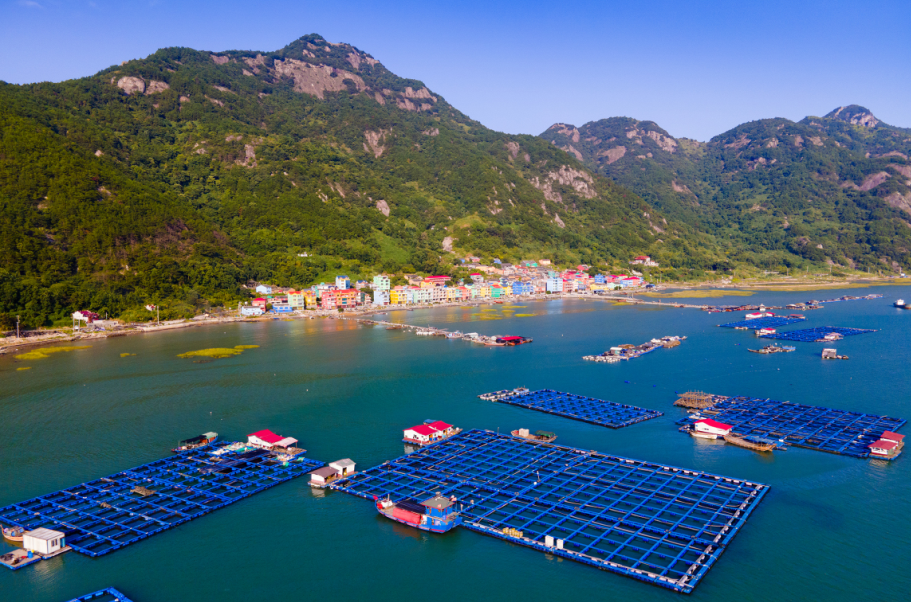 1654131946622669.png 12.png