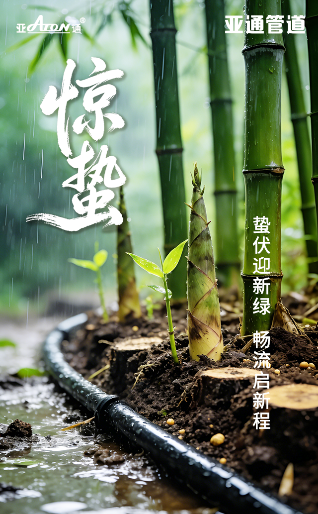 1773976738118724.png 惊蛰.png